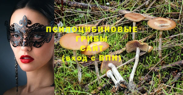 сатива Алзамай
