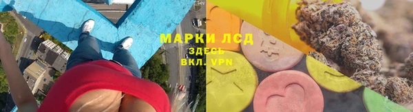 PSILOCYBIN Пересвет