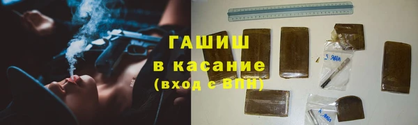 сатива Алзамай