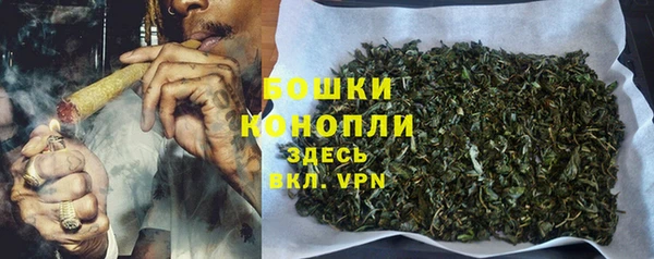 прущий лед Пестово