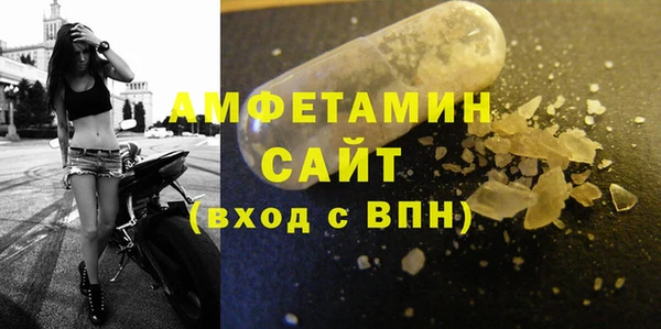 сатива Алзамай